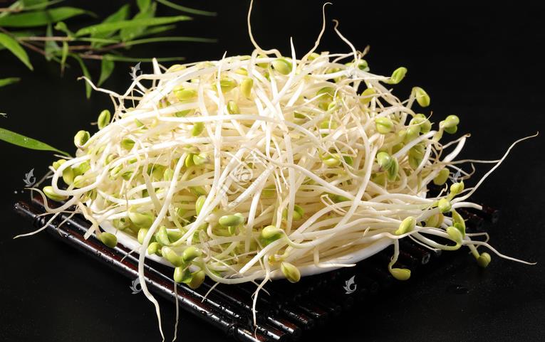 無公害綠色豆芽，怎么生產(chǎn)出來的？全套生產(chǎn)過程如此方便智能